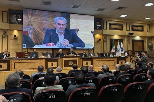 مدنی‌زاده: تعدد قوانین فعالان اقتصادی را سردرگم می‌کند