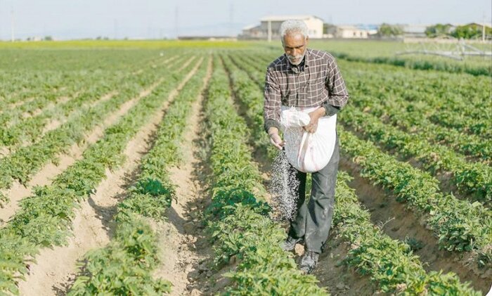 عمرانی: 19 هزار تن کود کشاورزی در استان بوشهر توزیع شد