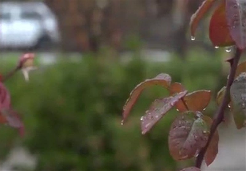 بارندگی تهران 200 میلی متر کمتر از شرایط ایده‌آل