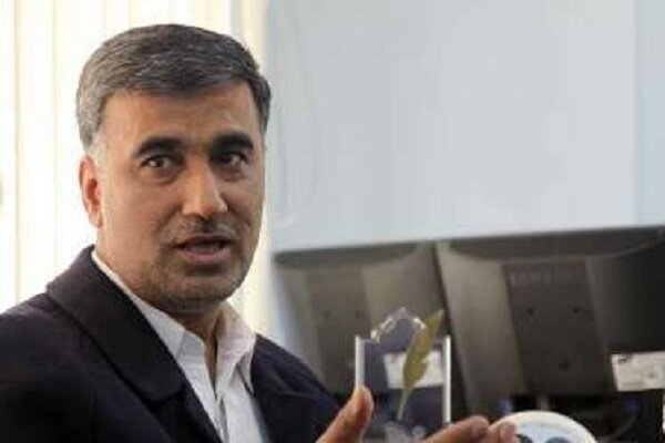 اتحاد کشورهای مسلمان مانع تعرض و نفوذ بیگانگان می‌شود
