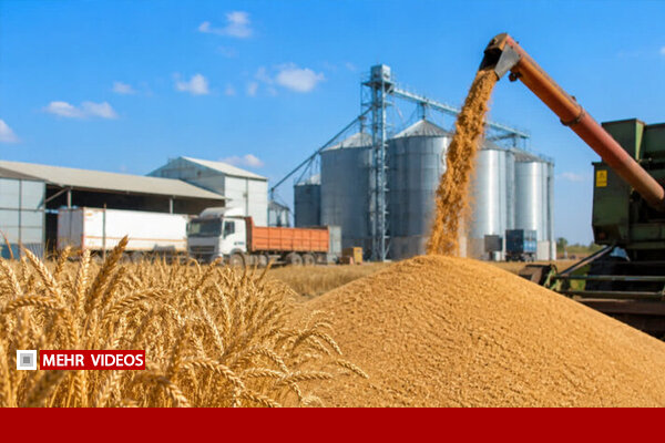 اکبر فتحی: پرداخت بدهی گندمکاران در دستور کار است
