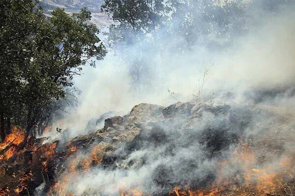 آتش‌سوزی در مراتع روستای دهنو بندرعباس تحت کنترل است