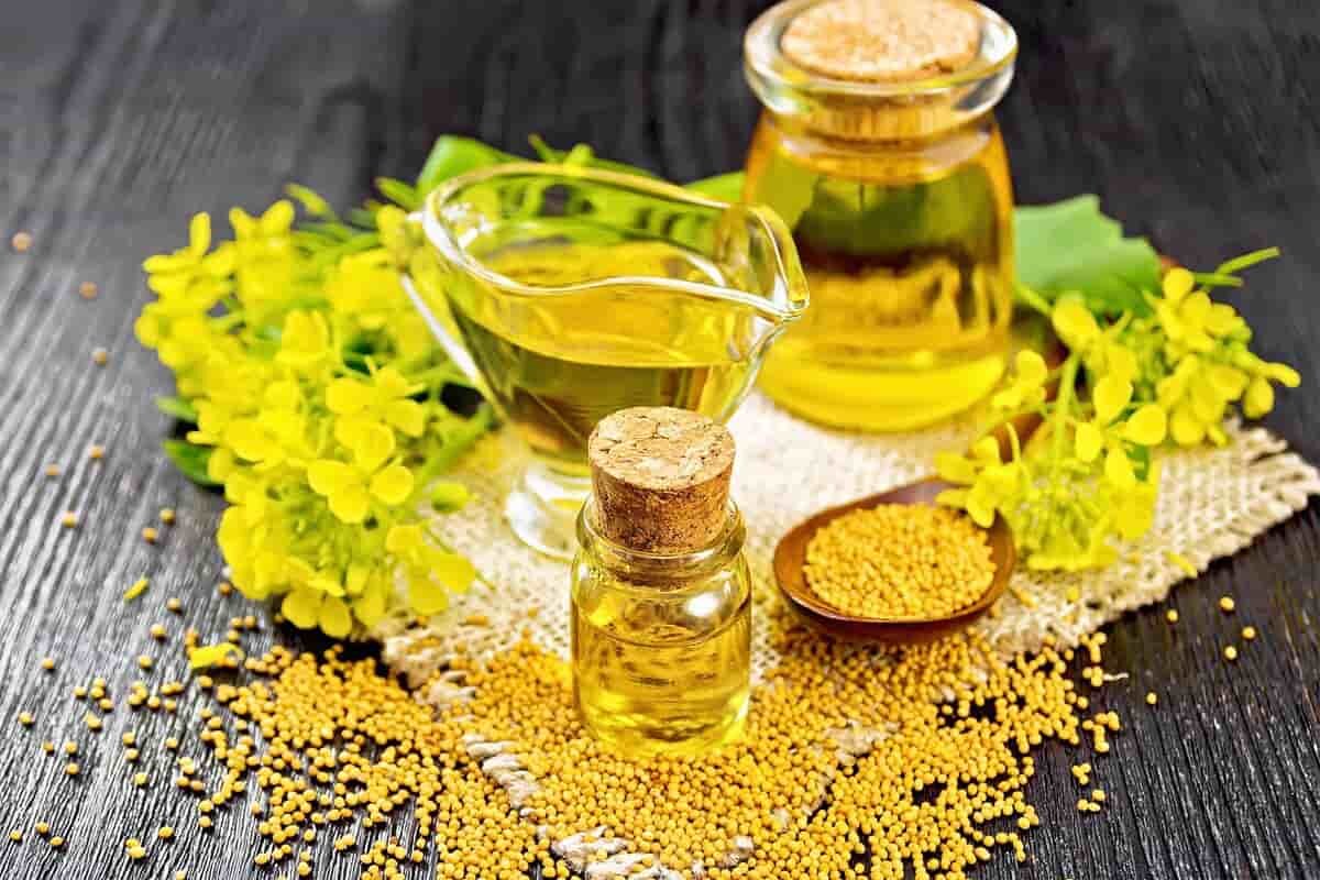 ثبت سفارش واردات روغن خام از ۱۰ تیر آغاز می‌شود