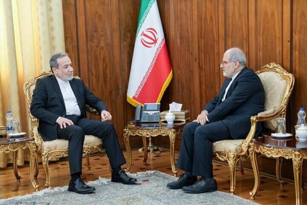 تاکید عراقچی بر بهره‌گیری از ظرفیت‌های دیپلماسی