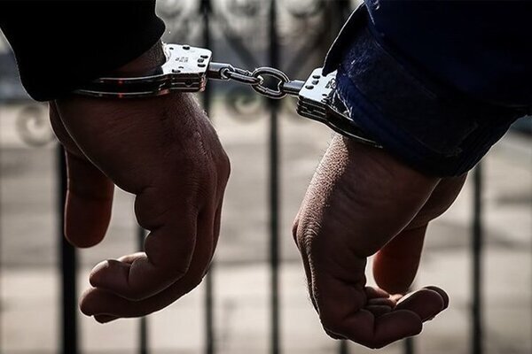 دستگیری چهار تبعه خارجی آشوبگر در بهارستان