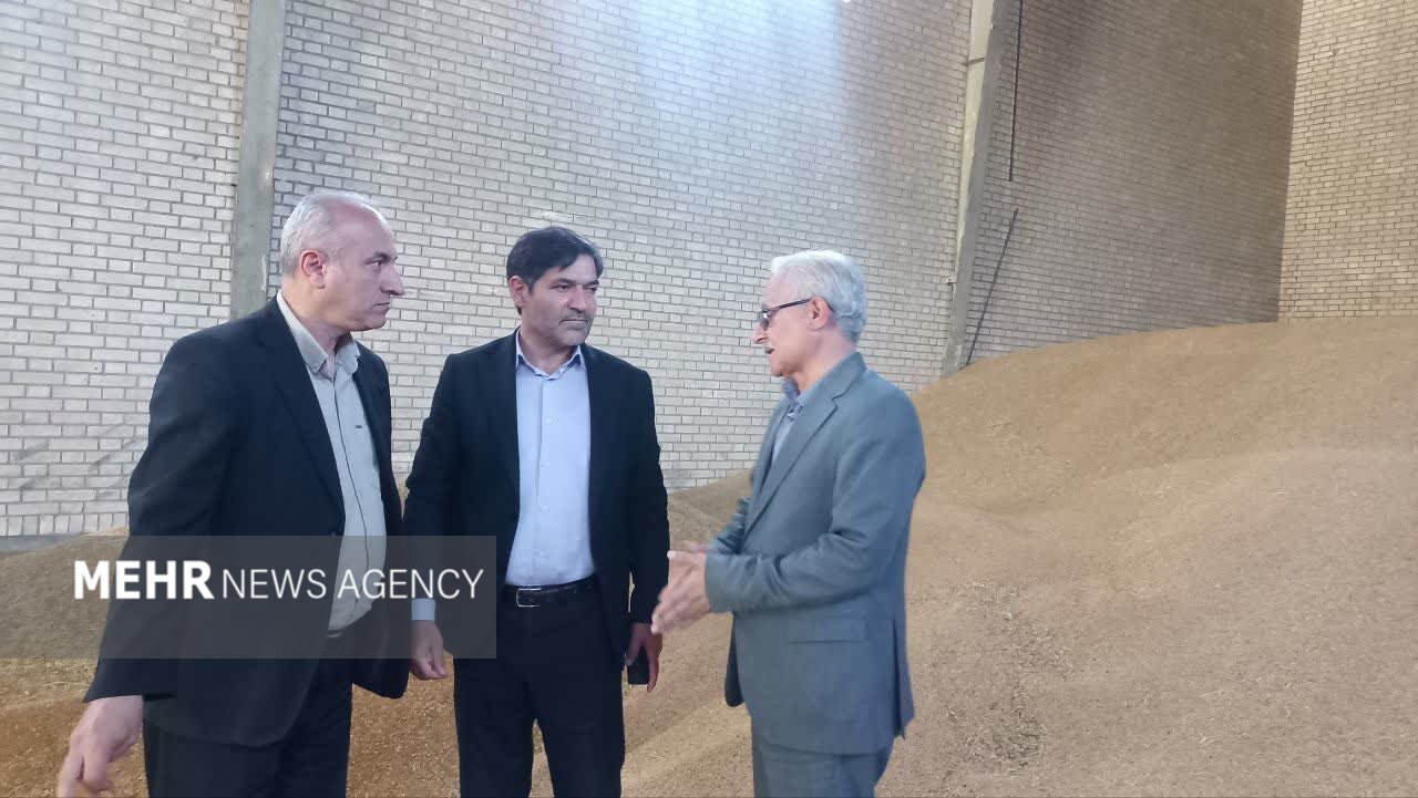نمین در مسیر جهش کشاورزی؛ از افزایش تولید گندم تا کاشت کاملینا