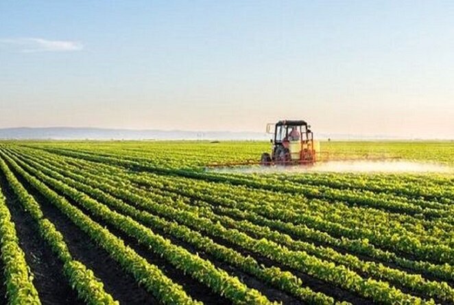 ارتقای بهره‌وری آب از محورهای تقویت تاب‌آوری کشاورزی است