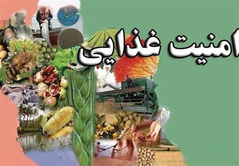 سال 1405 سال پیشرفت در امنیت غذایی و تولید فارس است