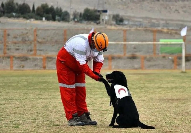 تجهیز سگ‌های زنده‌یاب هلال‌احمر به سامانه‌های هوشمند موقعیت یاب