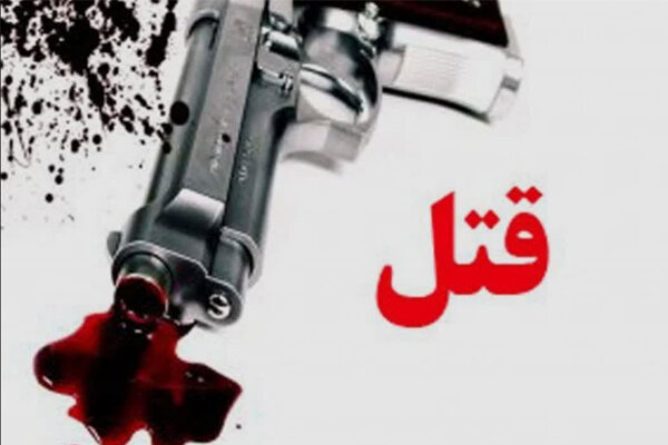 امیریان: متهم به قتل قرچک در کمتر از ۱۲ ساعت دستگیر شد