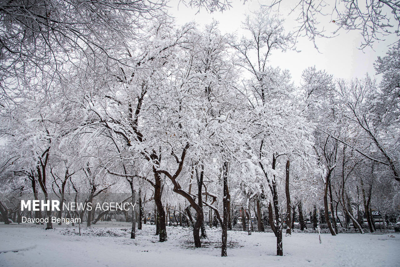 ورود سامانه جدید بارشی از امشب؛ 7 درجه کاهش دما در پایتخت