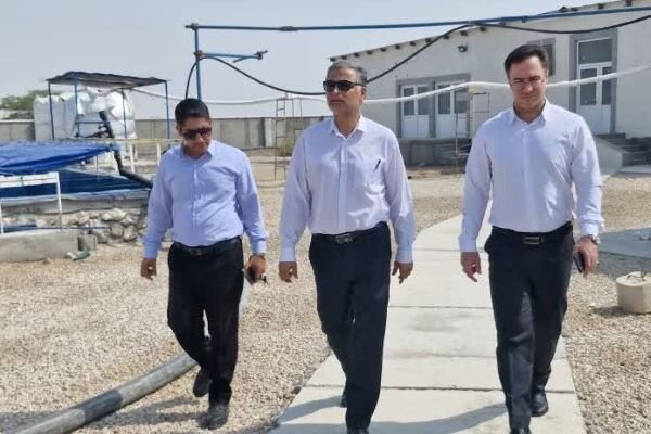 فرماندار تنگستان: حمایت از طرح‌های دانش‌بنیان  از اولویت‌های است