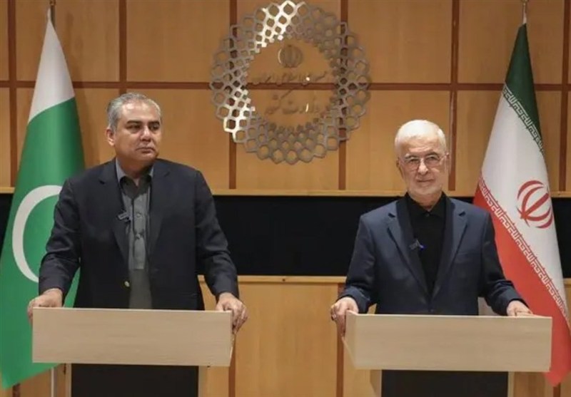 مومنی: روابط اقتصادی با پاکستان باید همپای تعاملات سیاسی باشد