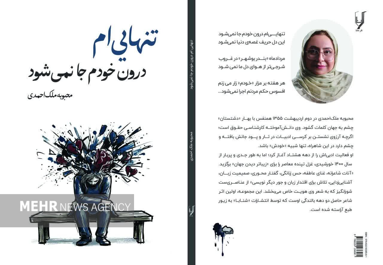 مجموعه شعر «تنهایی‌ام‌ درون خودم جا نمی‌شود» منتشر شد