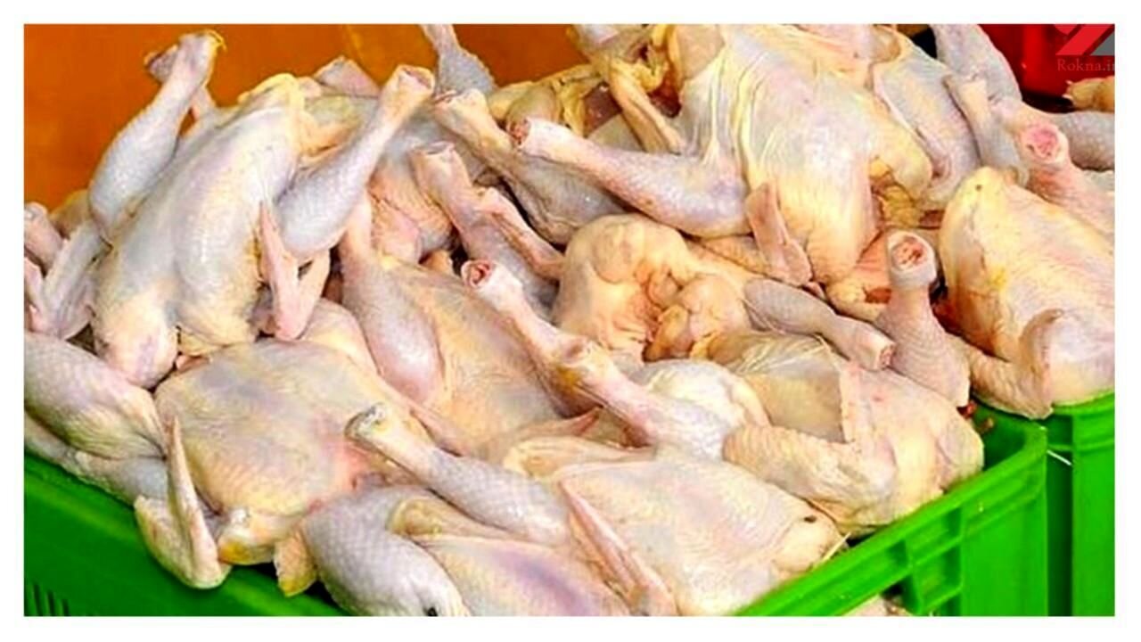کشف محموله مرغ‌های تاریخ‌گذشته در بندرعباس