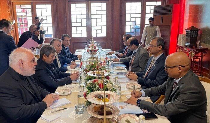 همتی: بریکس باید از گفتگو به اقدام عملی برسد