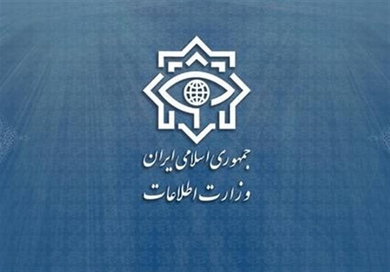 وزارت اطلاعات: فرانسه پاسخگوی مداخلات دیپلمات‌هایش باشد