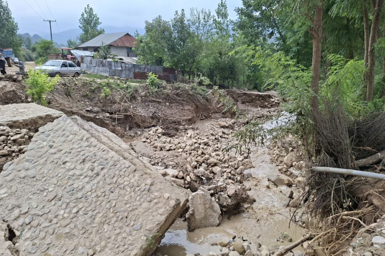 خسارت ۱۰۰ میلیارد تومانی بارندگی به کشاورزی میاندورود