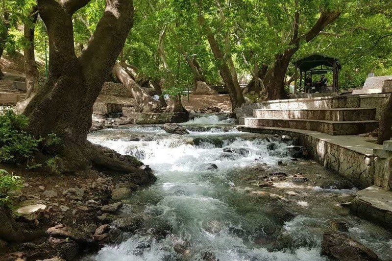 پارادوکسِ گیان؛ شاخ‌به‌شاخ شدنِ قانون و قانون‌گریزی در نهاوند
