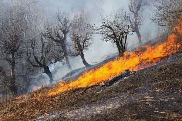 آمادگی ۱۲۰۰ تیم عملیاتی برای مهار سریع آتش‌سوزی در عرصه‌های طبیعی