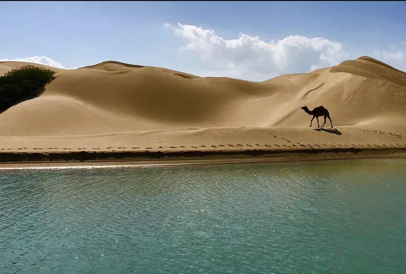 بلاگرها به دَرَک رفتند‌