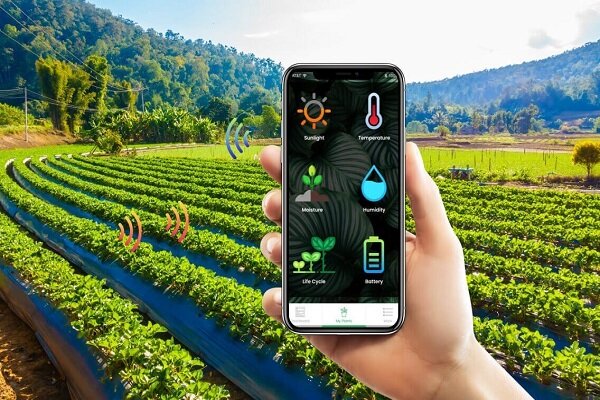 آغاز کشاورزی هوشمند با اتصال ۲ هزار مزرعه به شبکه ملی مزارع الگویی