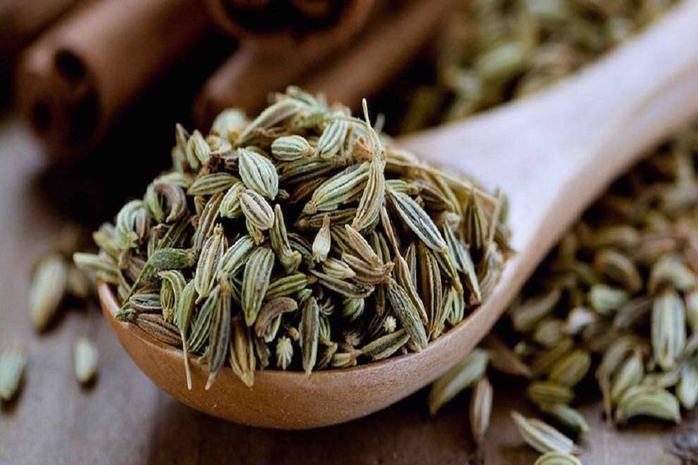 عرضه رازیانه در بورس کالا با«طرح اتصال» نهایی می‌شود