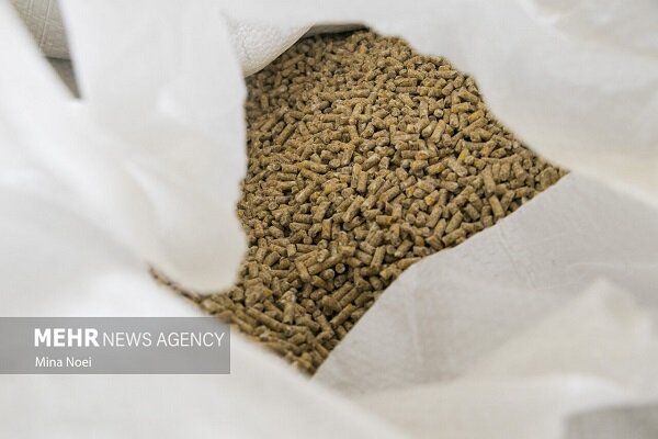 70 همت برای تامین سرمایه در گردش دامداران و طیور اختصاص یافت