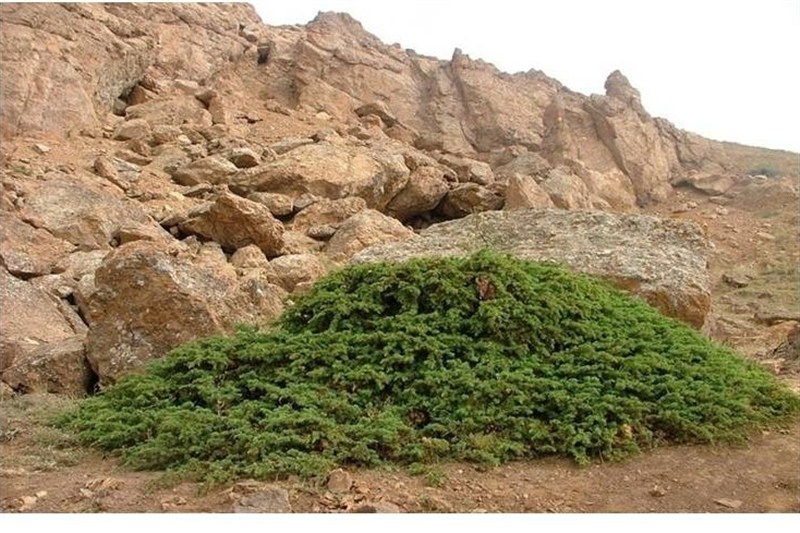 7 غار جدید در کهگیلویه و بویراحمد کشف شد