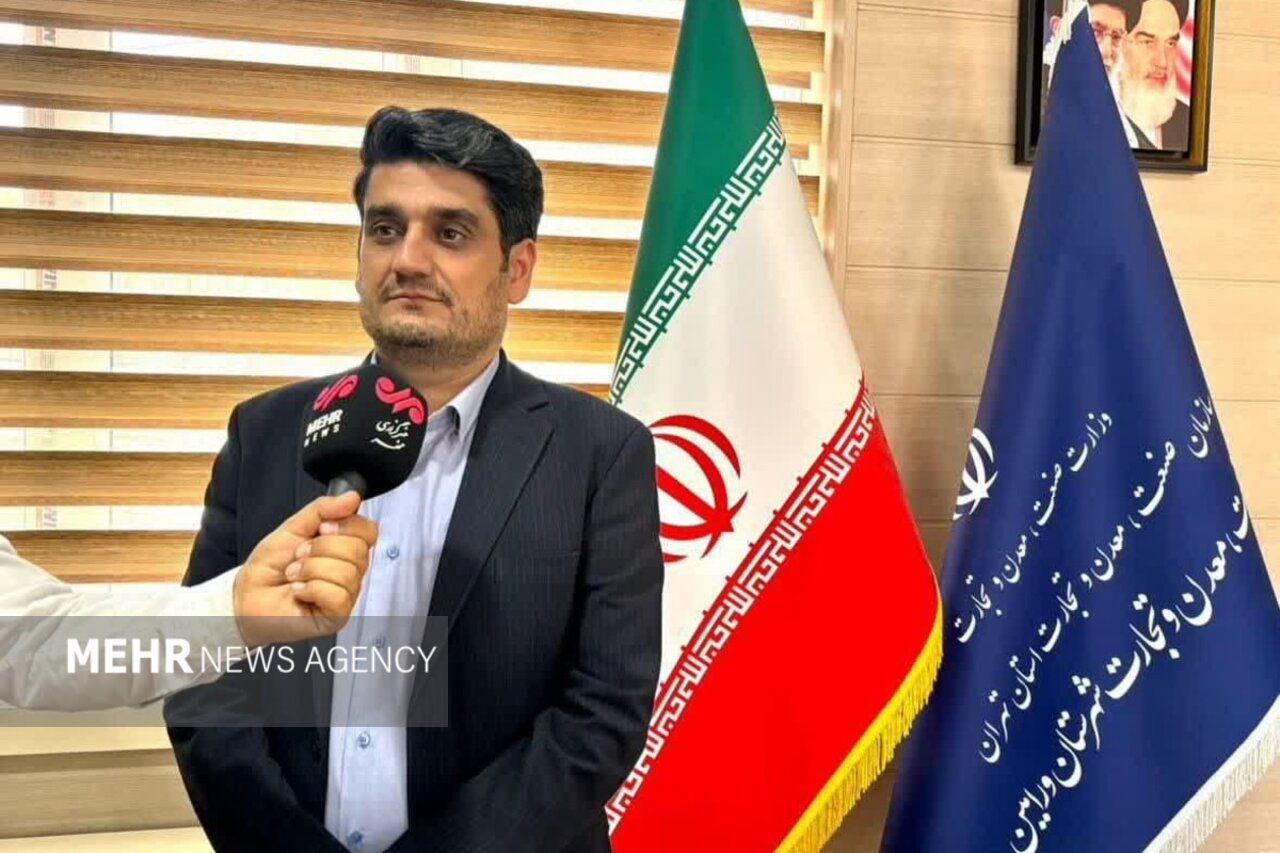 تاجیک:تبدیل پروانه صنفی واحدهای ورامین به مجوز صنعتی پیگیری می‌شود