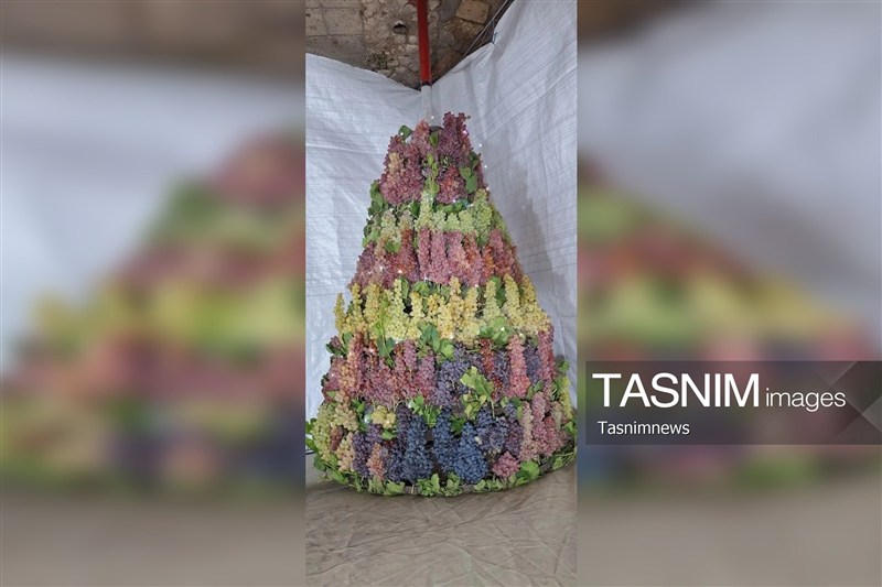 جشنواره انگور روستای درسجین؛ ویترین ظرفیت‌های کشاورزی زنجان