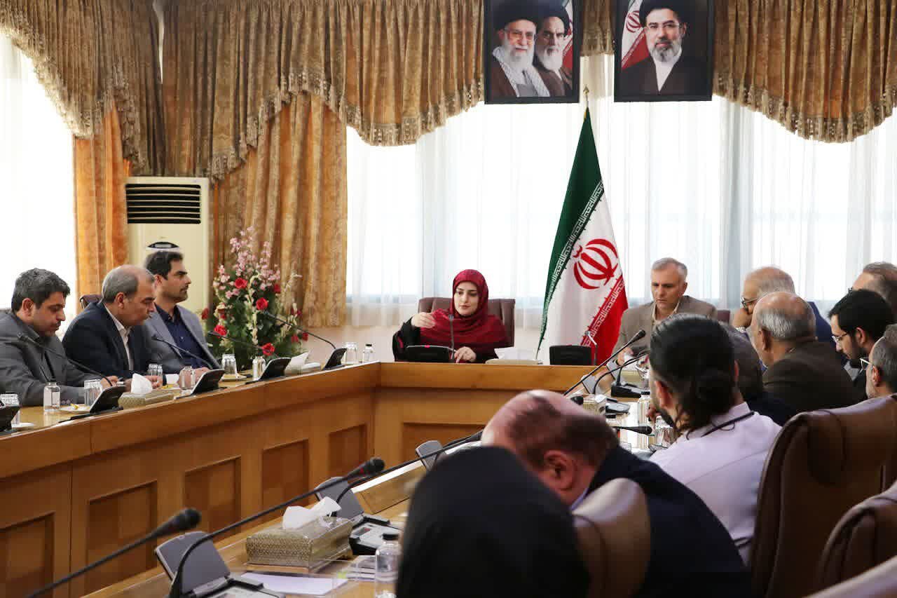 رمضانخواه: دولت به دنبال جانشینی بازآفرینی به‌جای بازسازی است