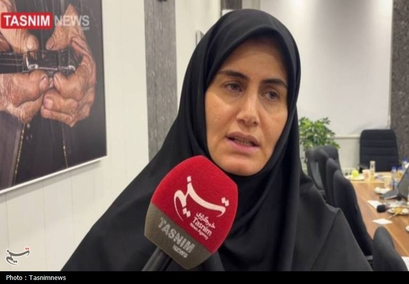 عبور خودروهای پلاک گذر موقت در زنجان، اردیبل و قزوین به کجا رسید؟