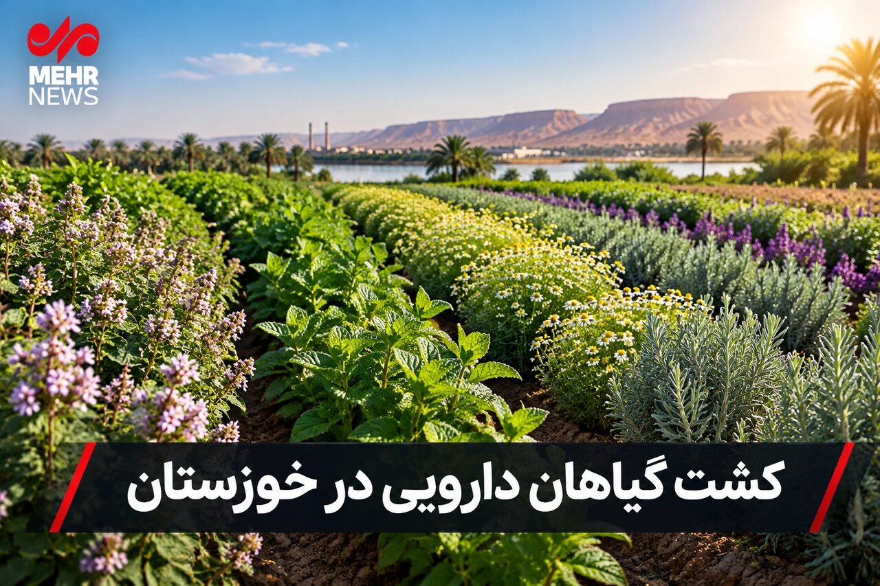 توسعه کشت گیاهان دارویی؛ راهبردی نو برای اقتصاد کشاورزی خوزستان
