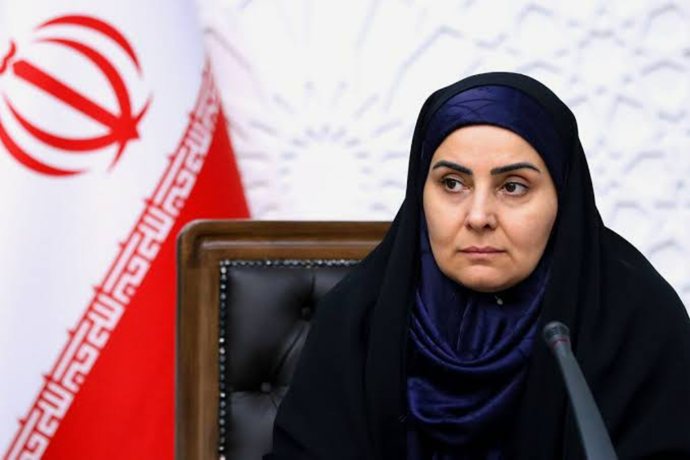 وزیر راه: پروازهای خارجی بدون مشکل در حال انجام است