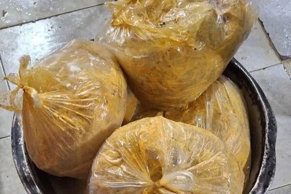 معدوم‌سازی ۱۰۰ کیلوگرم گوشت فاسد در بهارستان