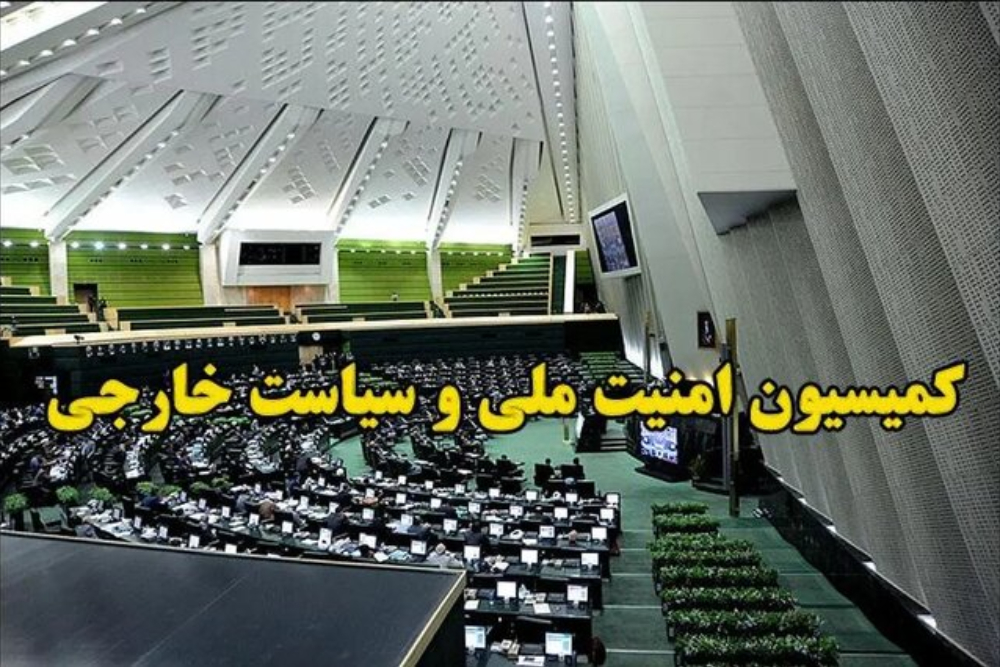 کمیسیون امنیت ملی: اطاعت از منتخب خبرگان واجب است