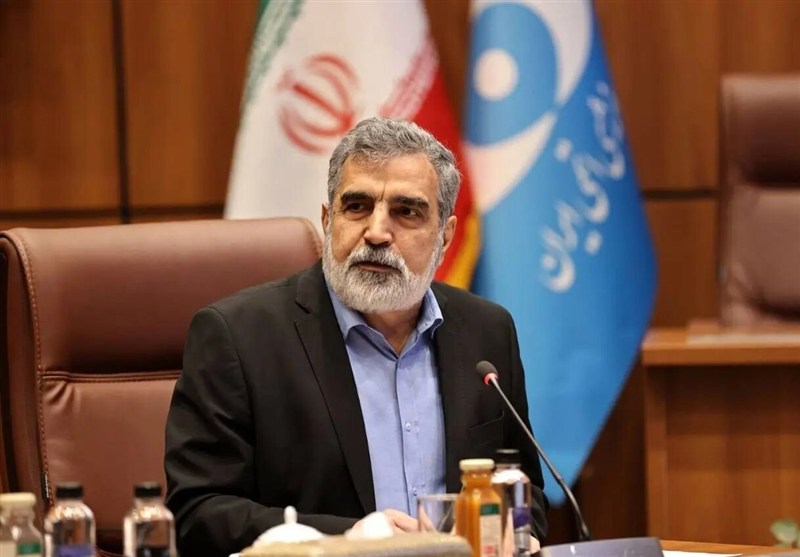 کمالوندی: آمریکا در کنفرانس عمومی آژانس شکست خورد