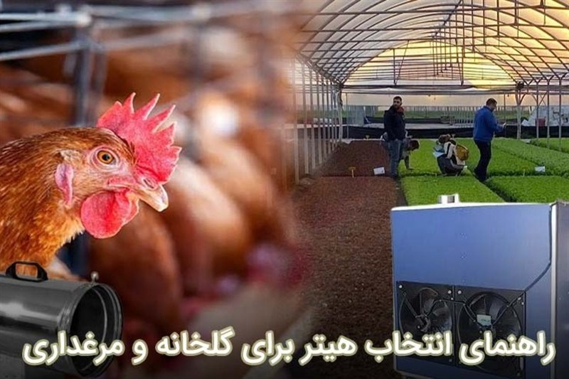 راهنمای انتخاب هیتر مناسب برای گلخانه و مرغداری