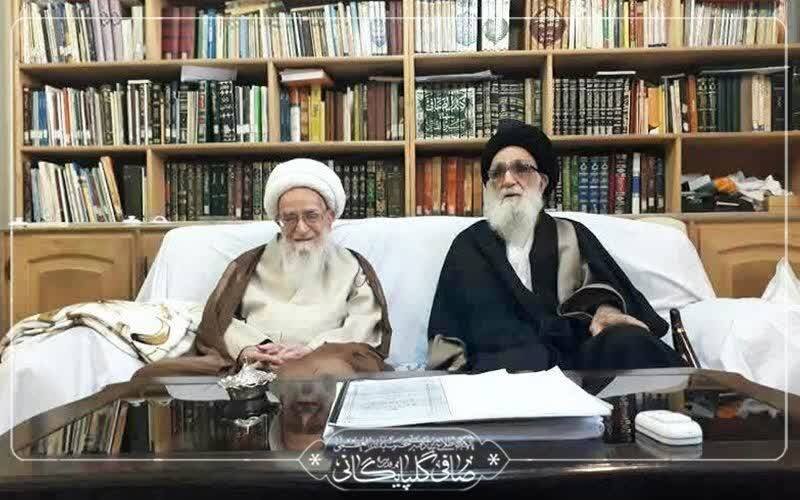خدمات ارزنده آیت الله محمودی برگی زرین در زندگی آن عالم عالیقدر