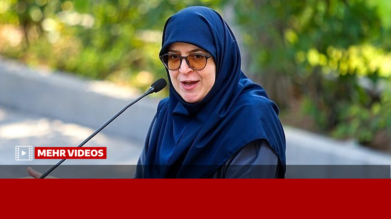 مهاجرانی: تحریم ما را به سمت تراستی‌ها برد