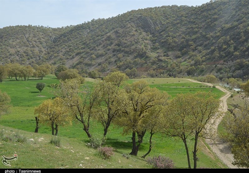 تیغ تیز زمین‌خواری بر گلوی طبیعت کهگیلویه و بویراحمد