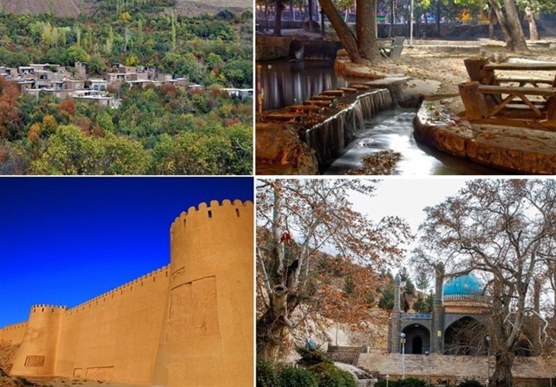 زعفران خراسان‌شمالی تماشایی می‌شود؛ مزارع در مسیر گردشگری