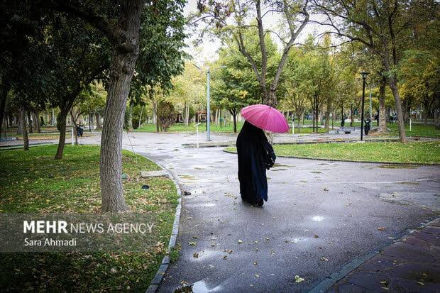 سامانه بارشی جدید وارد استان بوشهر می‌شود