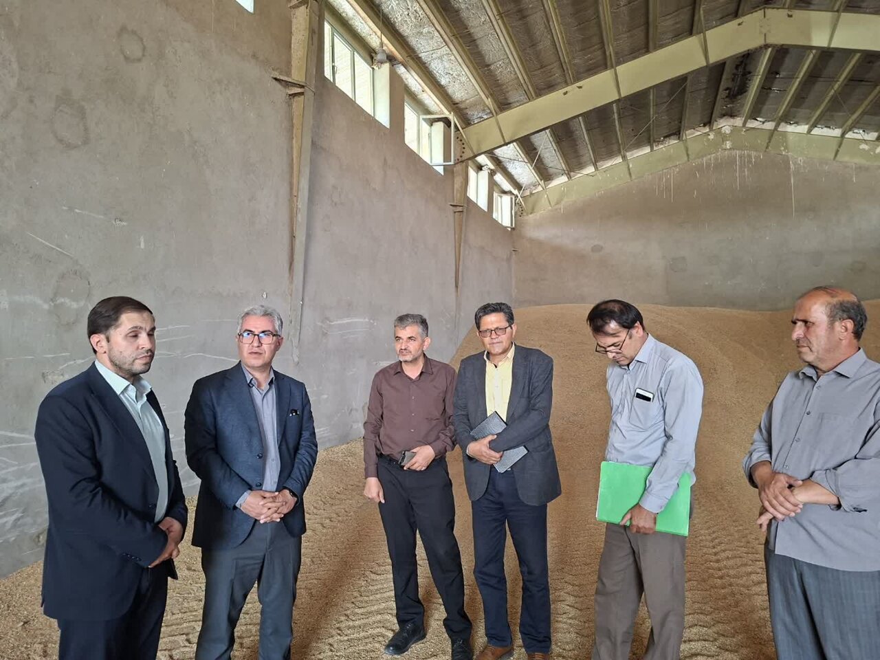 خرید تضمینی ۸ هزار تن گندم از گندم‌کاران مشگین‌شهر