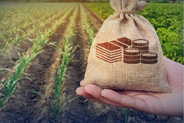 حداقل سهم بخش کشاورزی از وام‌های بانکی تعیین شد