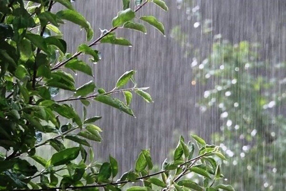 امسال آسمان 68 درصد بیشتر بارید