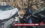 نورنما | لحظه تصادف وحشتناک شاخ به شاخ