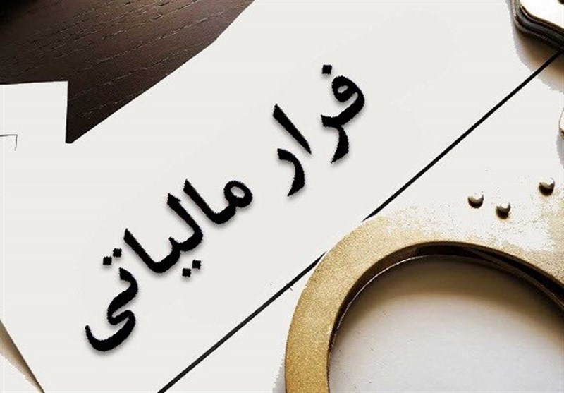 کشف فرار مالیاتی 21 تبعه خارجی فاقد پرونده‌ در ایران