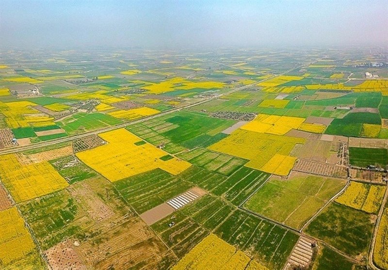 13 سال ‌تنش بر سر 150 هکتار ‌اراضی کشاورزی/ سنگ‌پرانی ‌سودجویان!